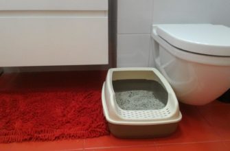Производство туалетных лотков для кошек